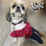 Heart-denim-dress-for-dogs-cotton-marsha-and-buddy