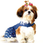 denim-dress-for-dogs-summer-wear-for-dog-dog-clothing