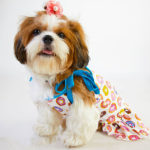 Shihtzu-blue-jacquard-tulle-party-dress-for-dogs-side