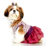 purple-haze-dress-for-dogs